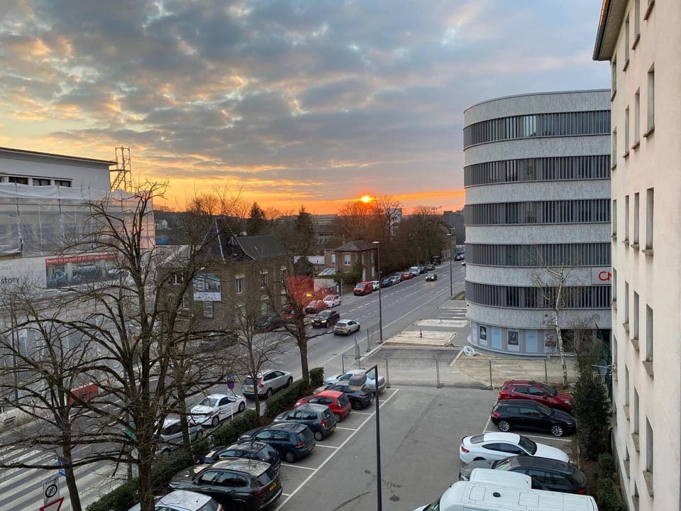 Neighbourhood, Street view, Sunset