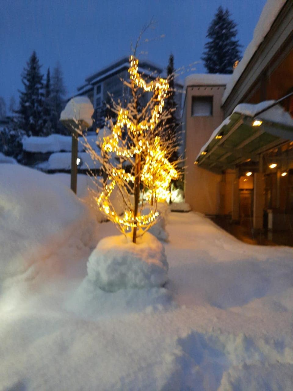 Property building, Casino