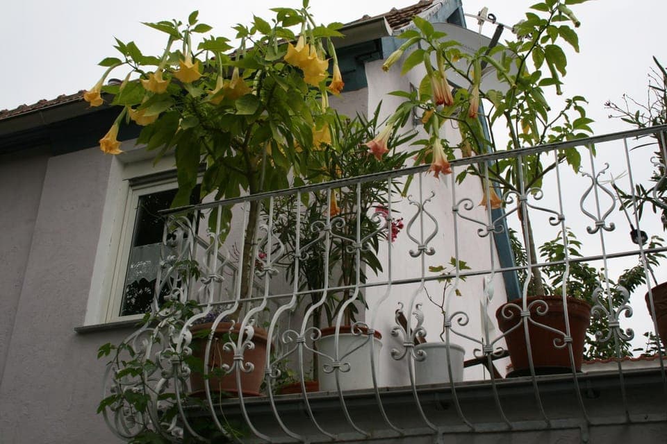 Property building, Balcony/Terrace