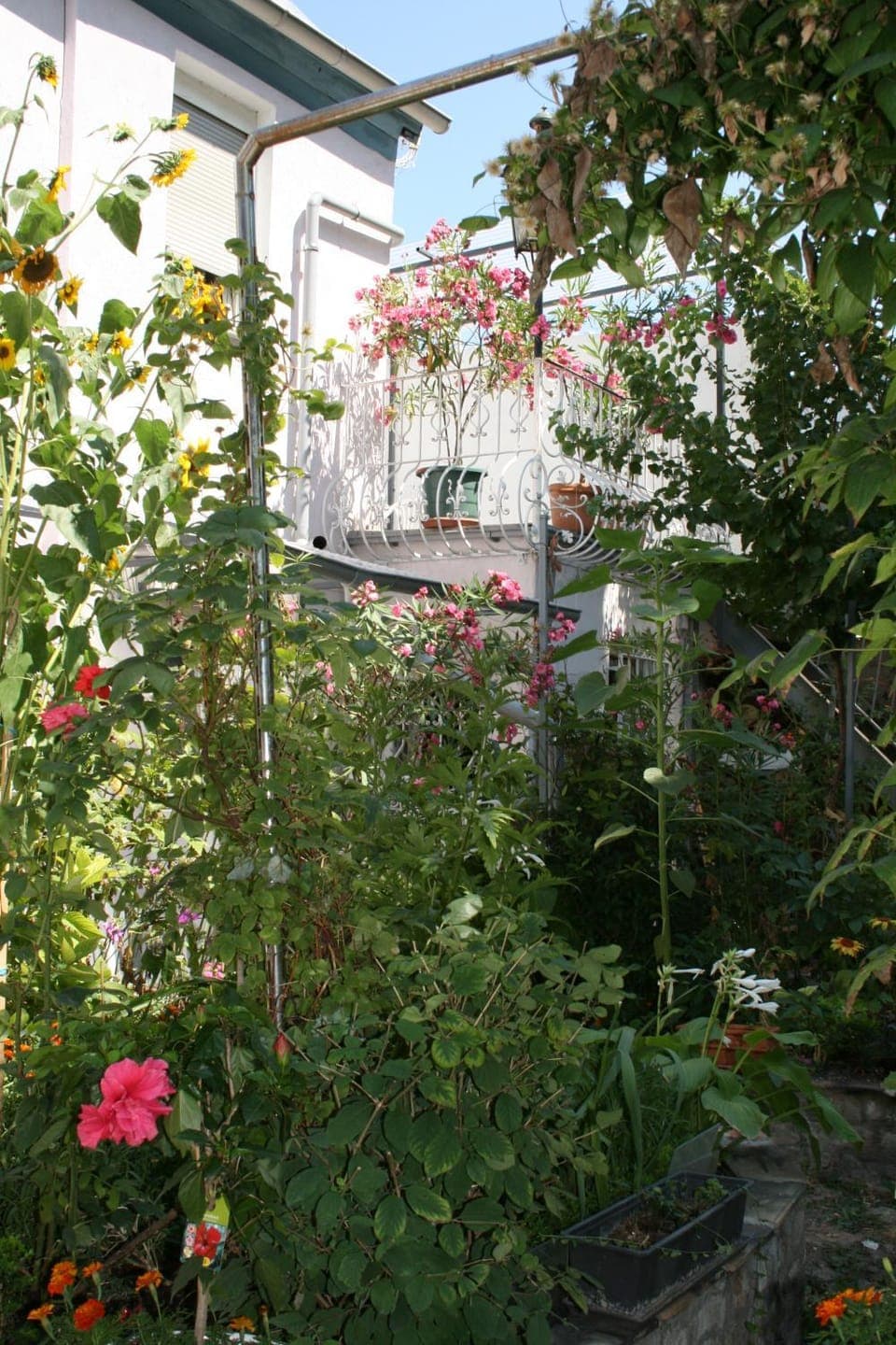 Property building, Patio, Spring, Garden