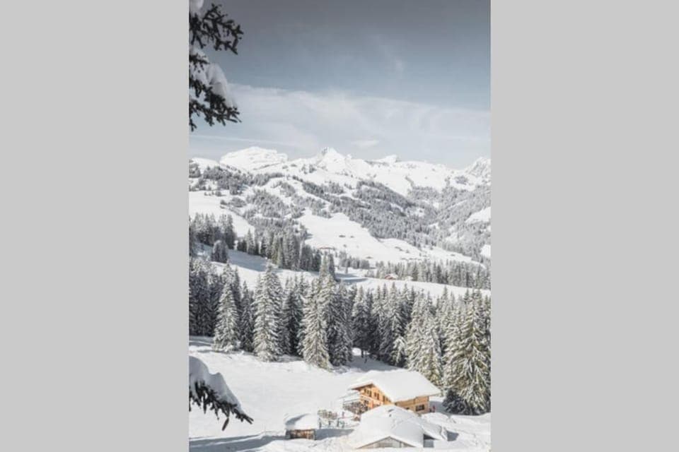 Natural landscape, Winter, Skiing, Skiing