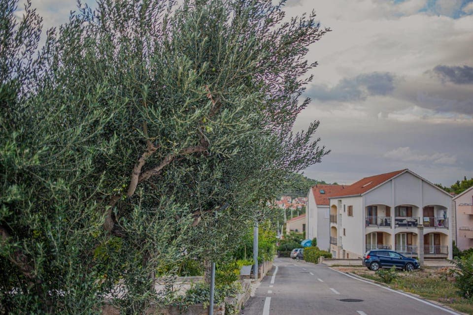 Property building, Neighbourhood, Street view