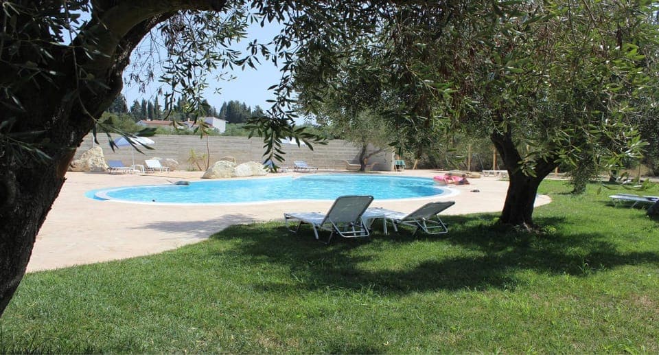 Garden, Garden, Swimming pool, Swimming pool