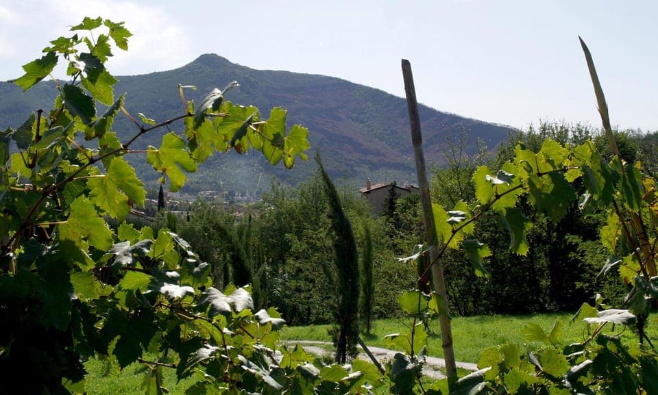 Natural landscape, View (from property/room), Hiking, On site