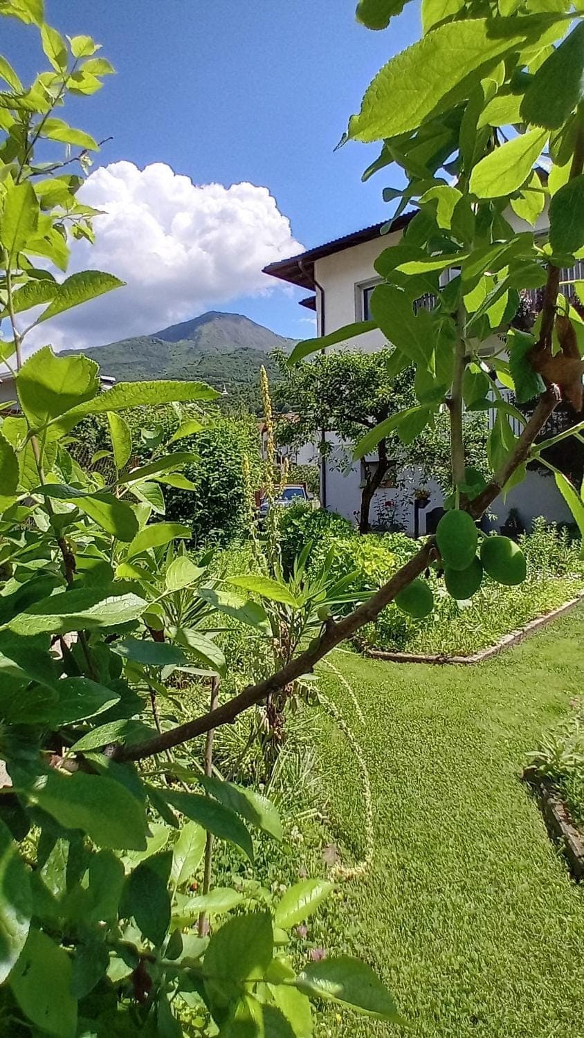 Natural landscape, Garden, Garden view, Mountain view