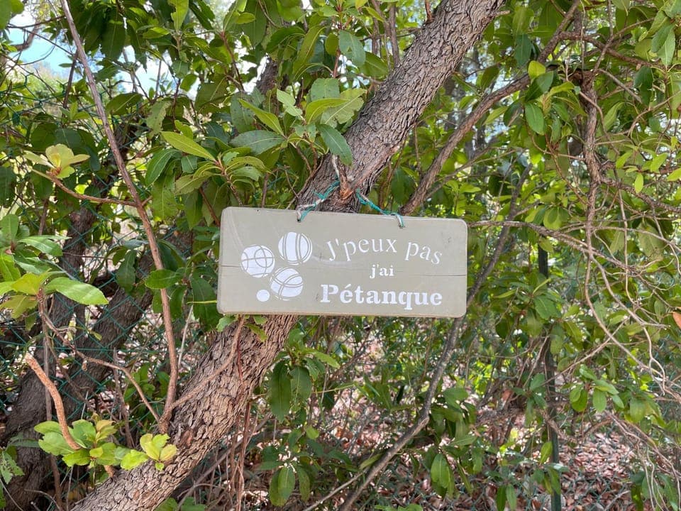 Day, Natural landscape, Activities, Garden, Garden view