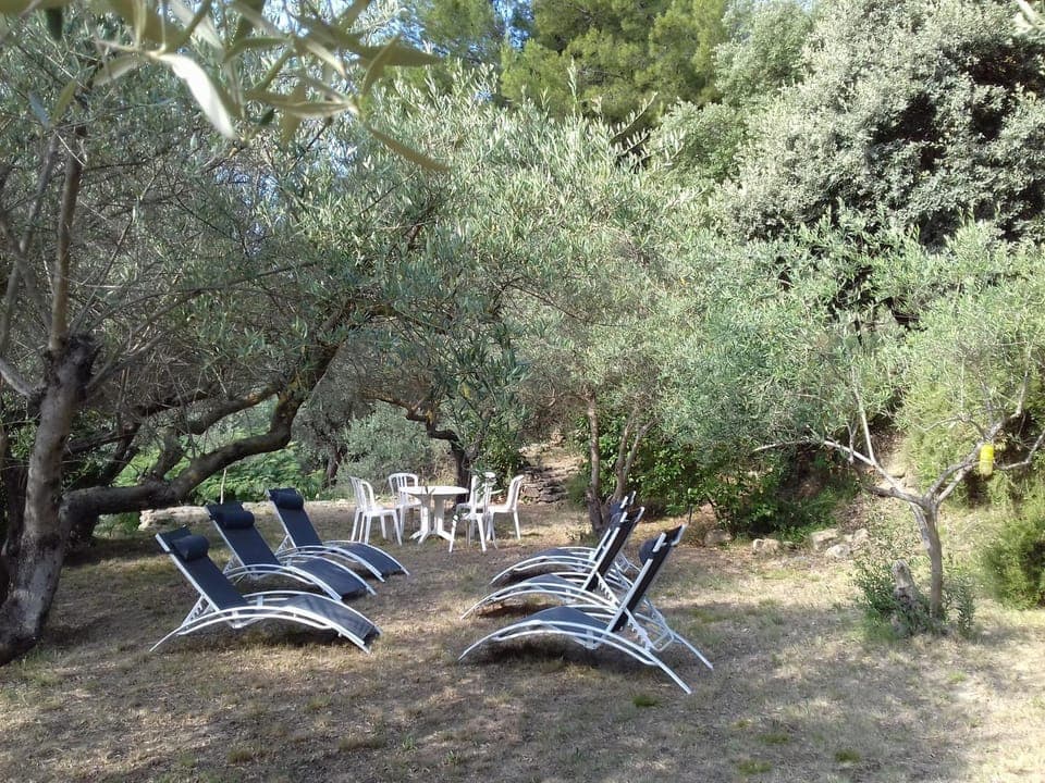 Patio, Garden, Solarium