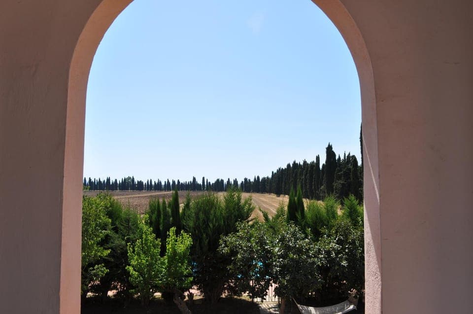 Garden, View (from property/room)