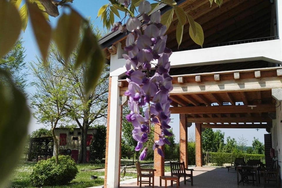 Property building, Garden view