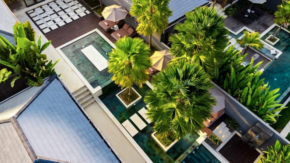 Day, Garden, Swimming pool, sunbed