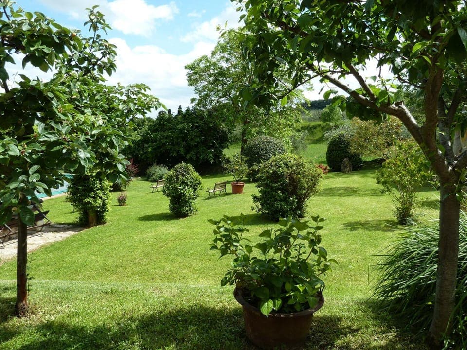 Garden view