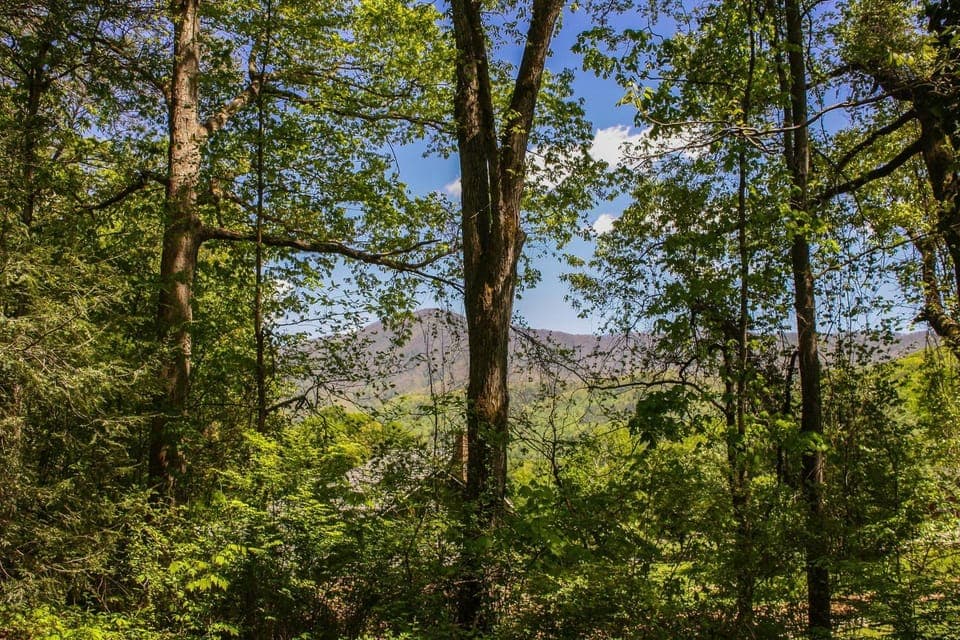 Natural landscape