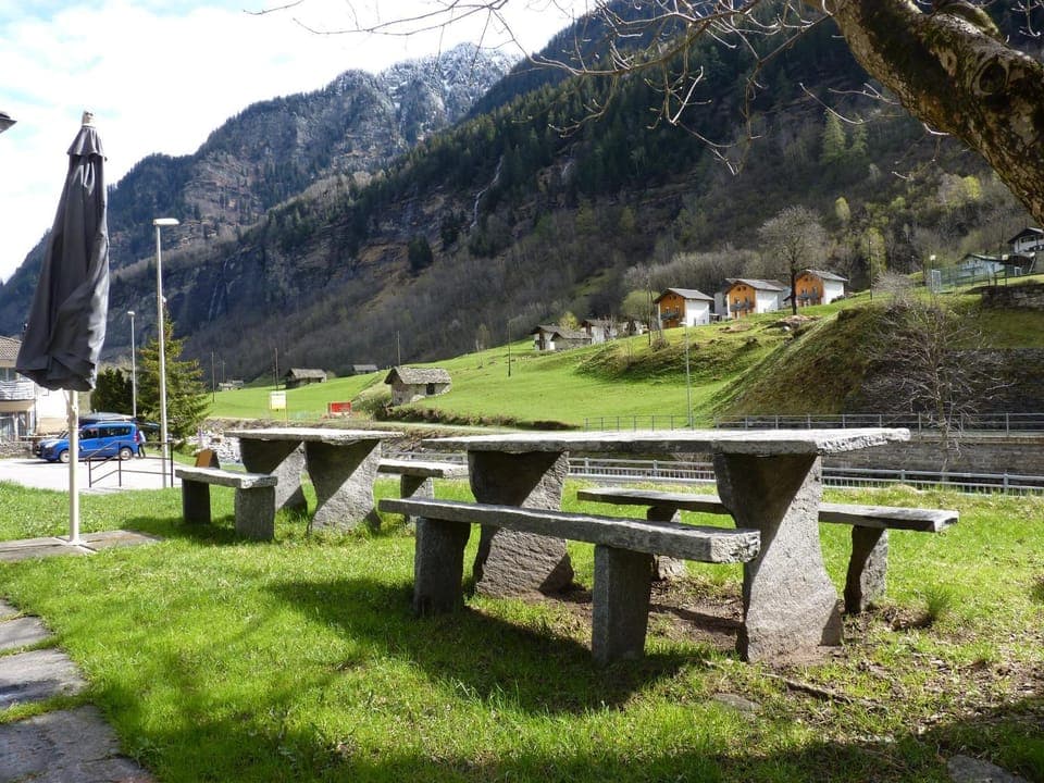 Garden, Mountain view