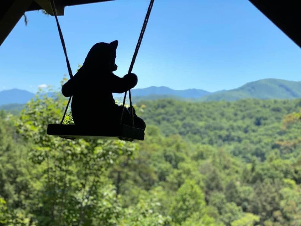 Mountain view 5 bdrm Gatlinburg Cabin near downtown Arts Cabin in Gatlinburg