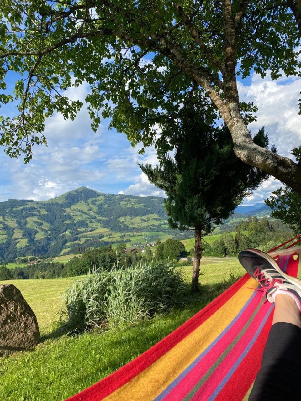 Natural landscape, Garden