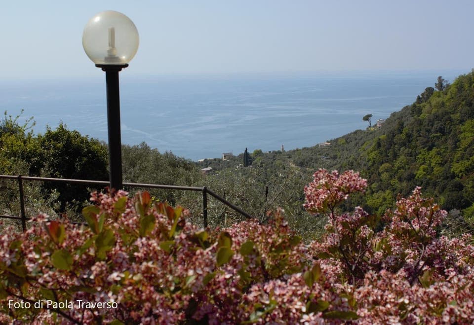 Garden, View (from property/room), View (from property/room), Sea view