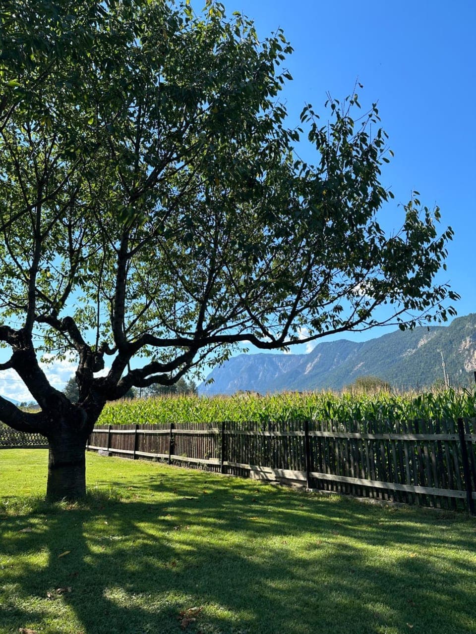 Garden, Garden, Garden view, Garden view, Mountain view, Mountain view