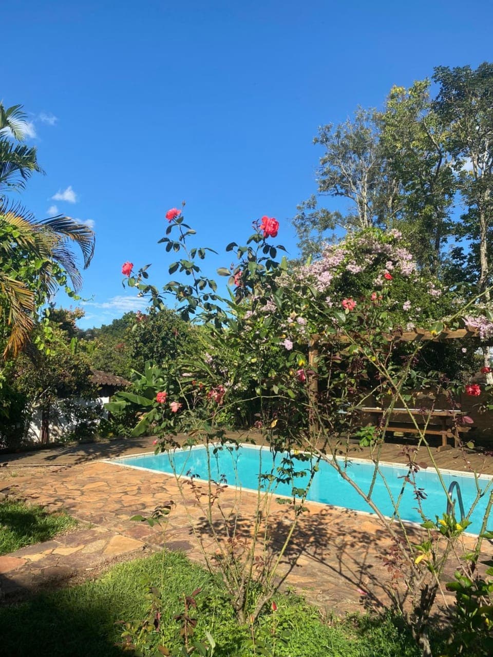 Property building, Day, Natural landscape, Summer, Garden, Solarium, Pool view, Swimming pool