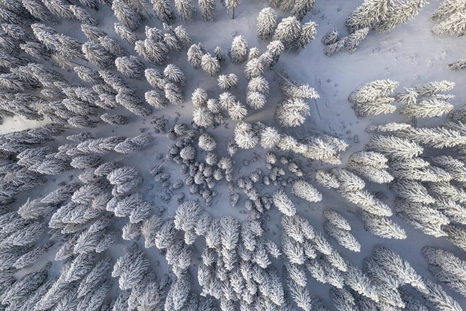 Natural landscape, Winter, Hiking