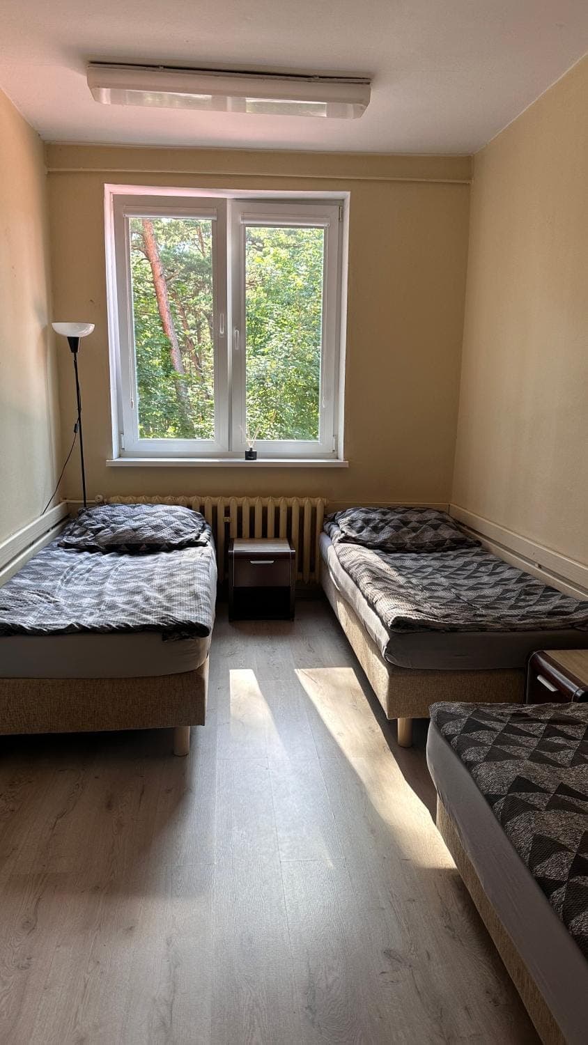 Bed, Photo of the whole room, internet