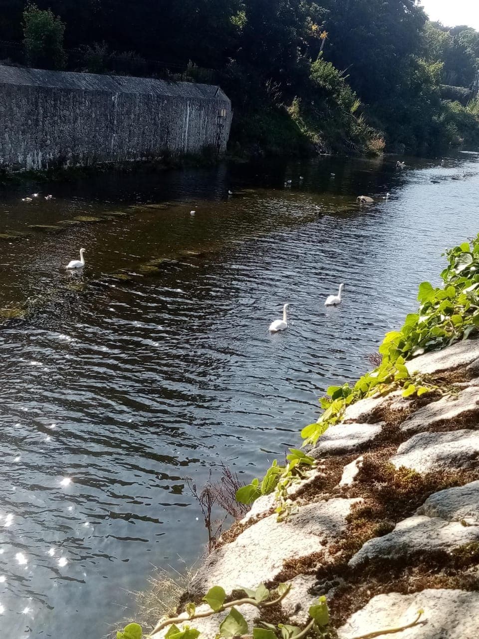 Natural landscape, Hiking, River view