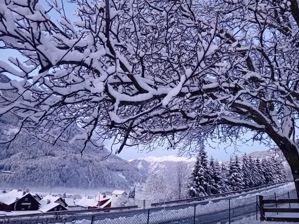 Day, Natural landscape, Winter