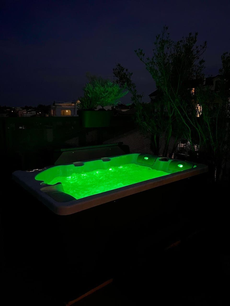 Hot Tub, Spa and wellness centre/facilities, Open Air Bath