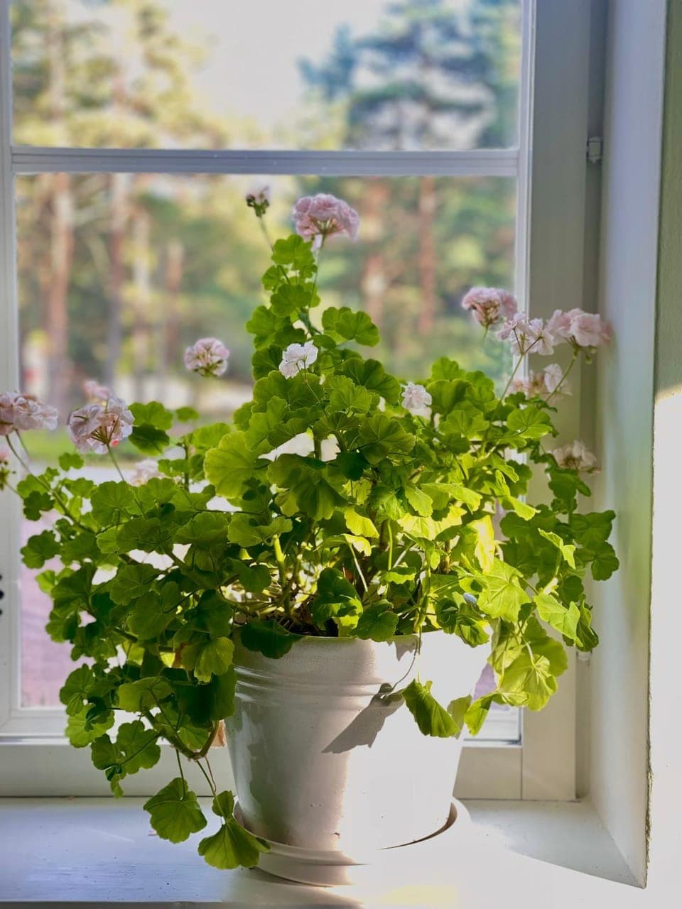 Villa Vintage B&B Hotel in Finland