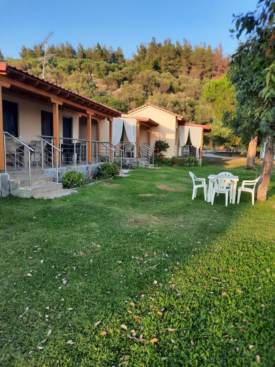 Natural landscape, Garden, Garden view