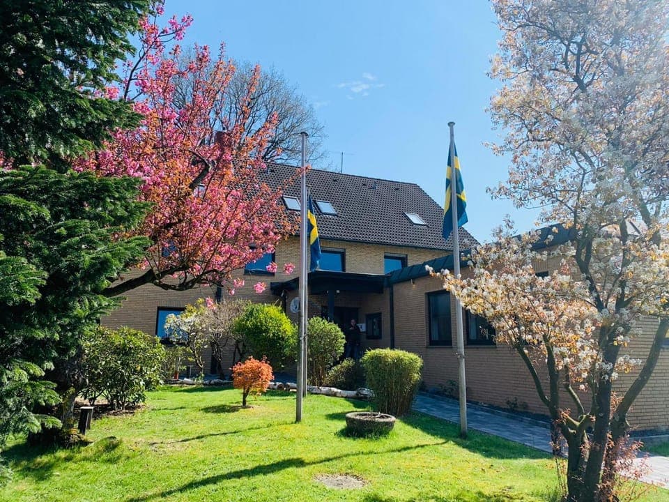 Property building, Spring, Day