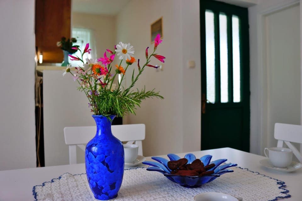 Holiday house Silvana Villa in Šibenik-Knin County, Croatia