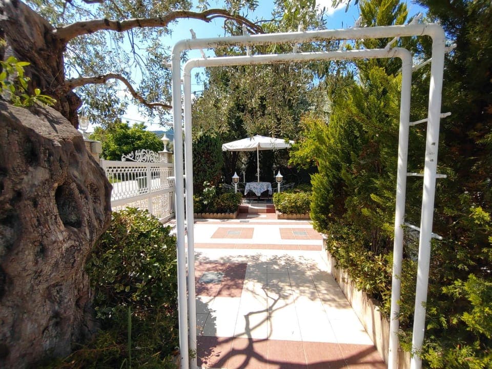 Patio, Garden, Garden view