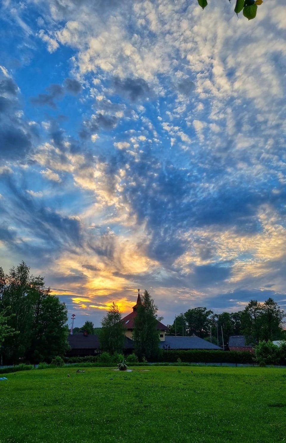 Natural landscape, Garden