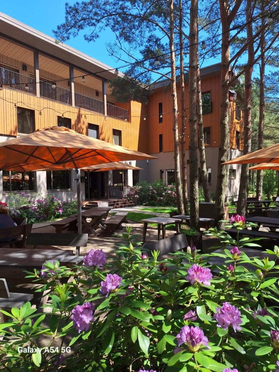 Property building, Day