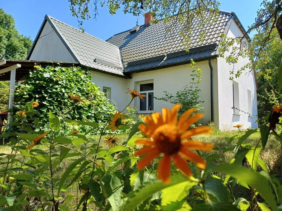 Property building, Garden view