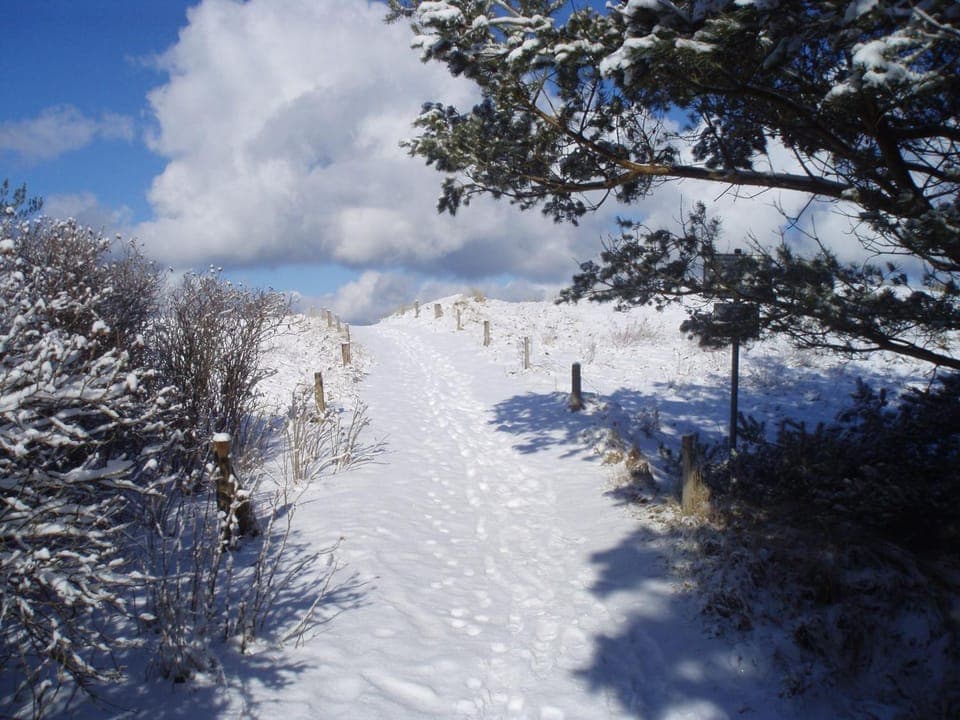 Natural landscape, Winter