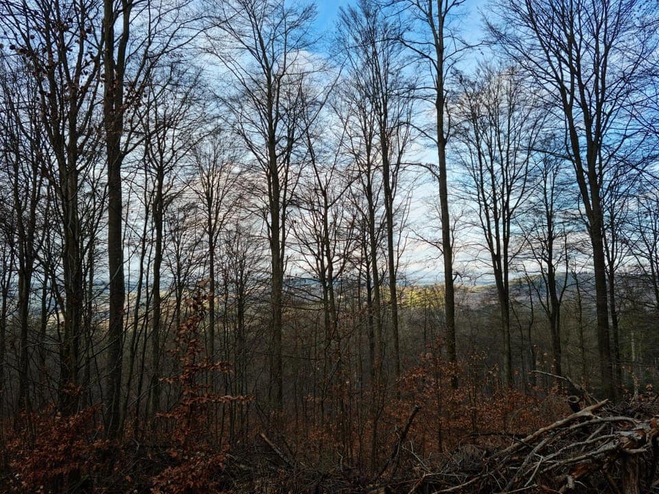 Natural landscape, Winter, Hiking