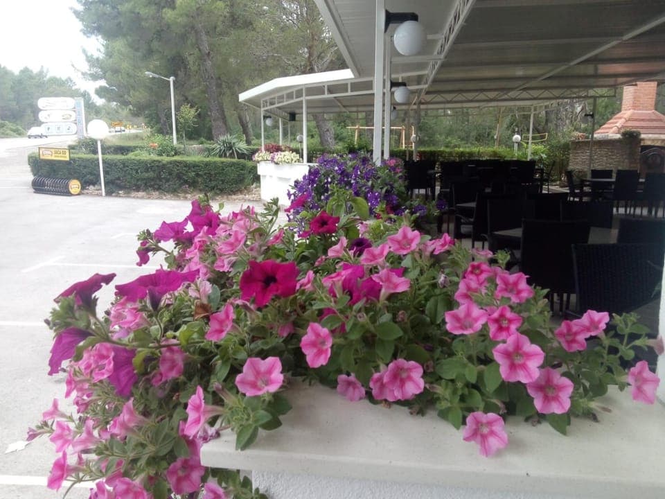 Pansion restoran Marin Bed and Breakfast in Šibenik-Knin County, Croatia