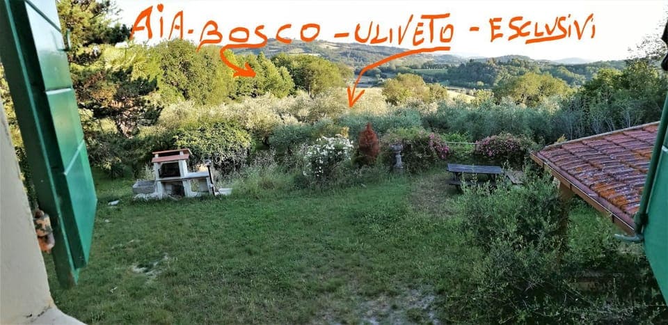 Natural landscape, Children play ground, Garden, Photo of the whole room, Mountain view, Mountain view