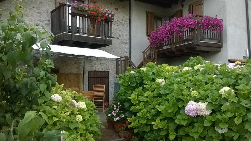 Property building, Garden view