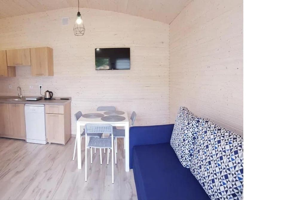 TV and multimedia, Kitchen or kitchenette, Living room, Seating area, Dining area, oven, pet friendly, stove