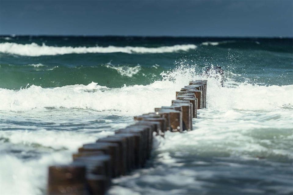 Staff, Area and facilities