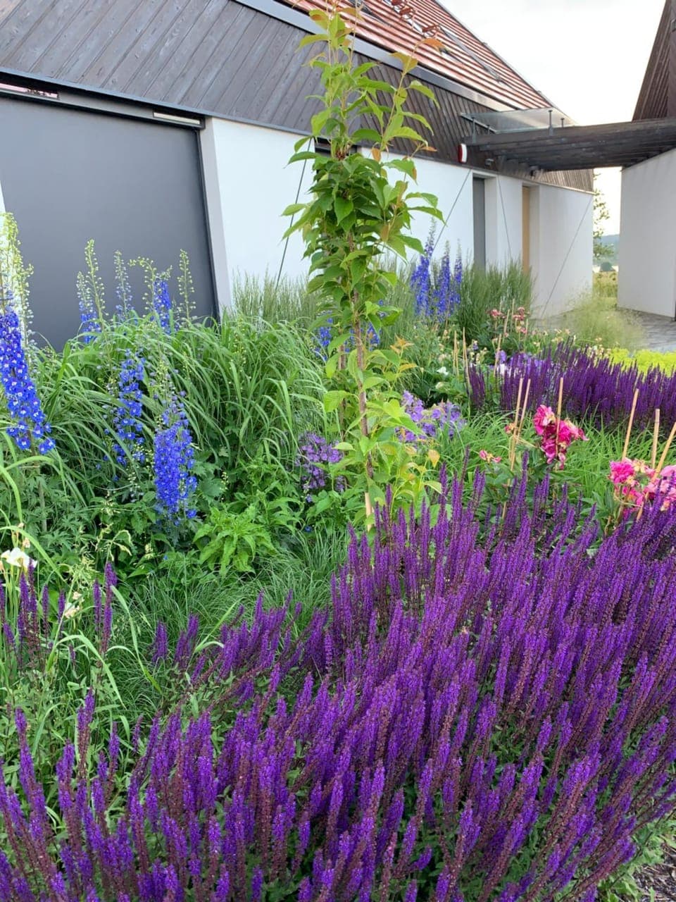 Facade/entrance, Garden, Garden view
