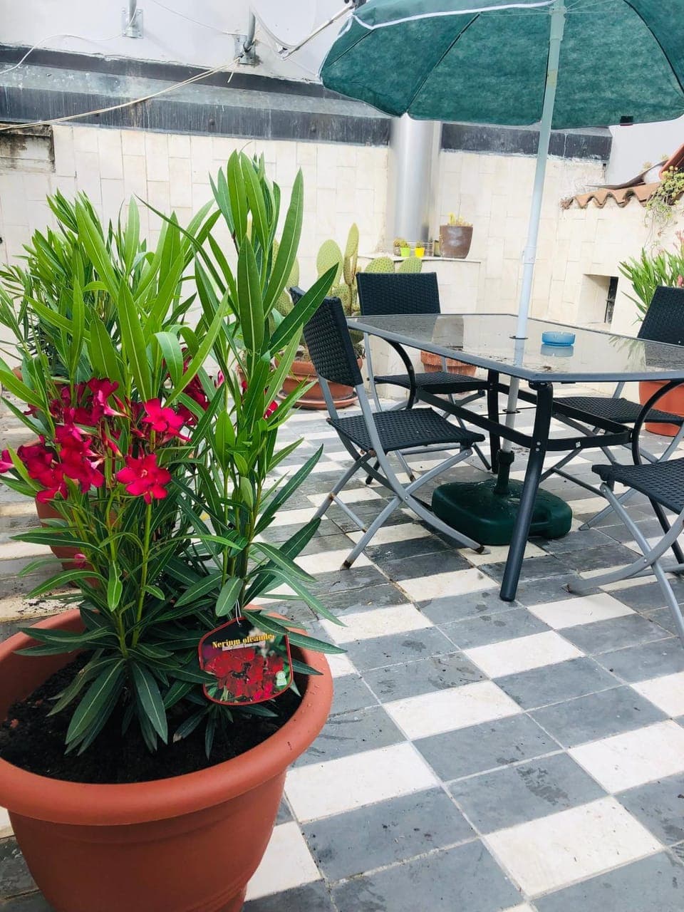 Patio, Balcony/Terrace