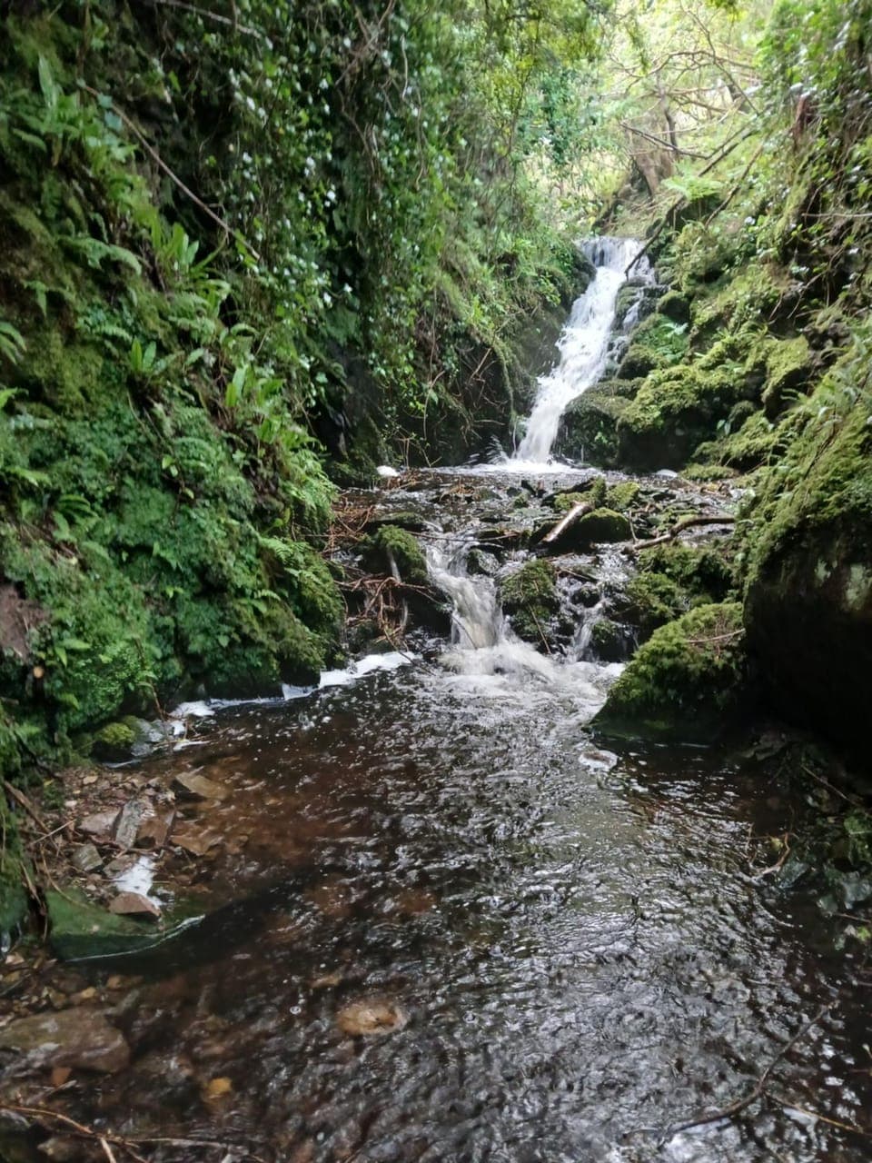 River view