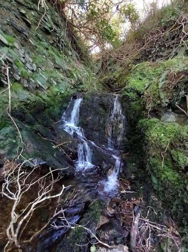 Natural landscape