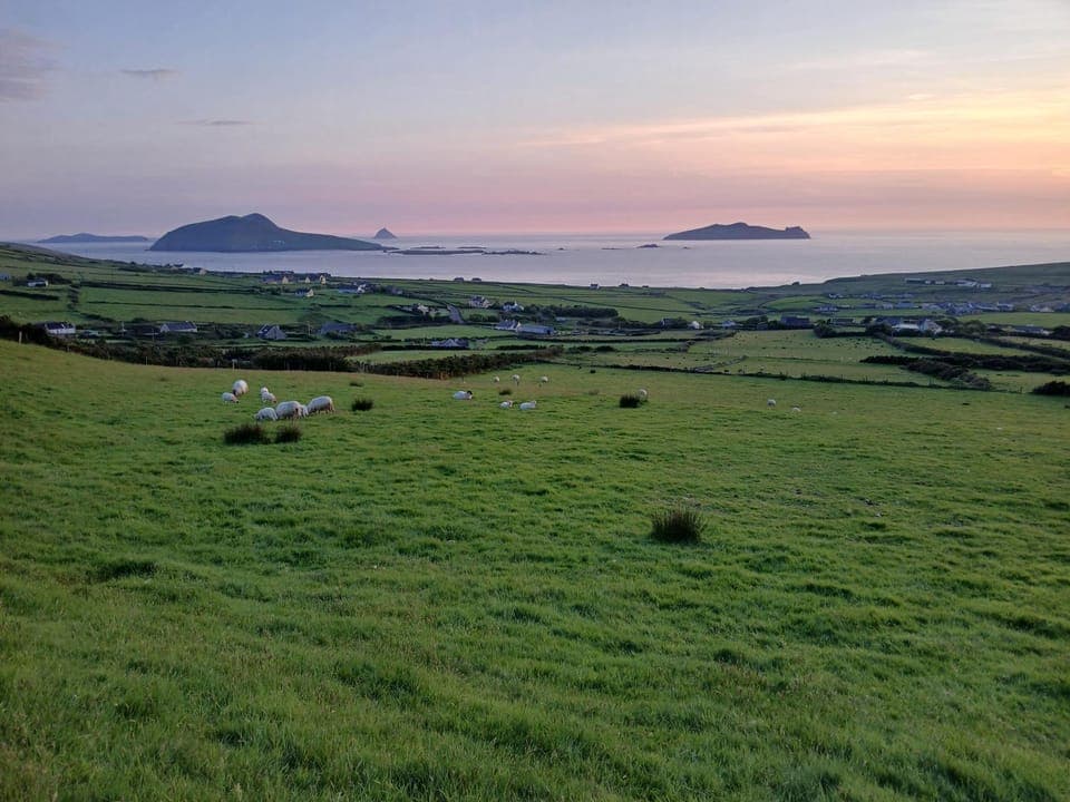 Natural landscape