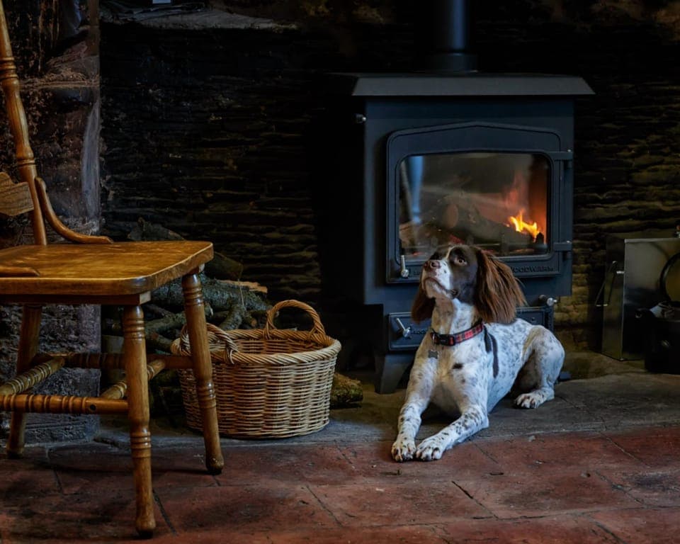 Lounge or bar, flat iron