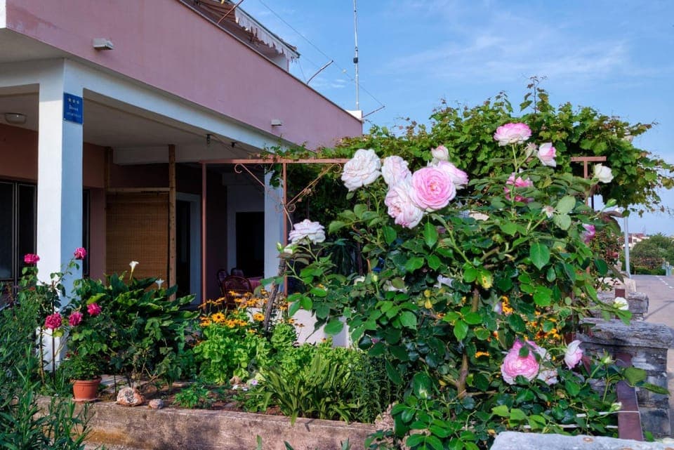 Property building, Garden