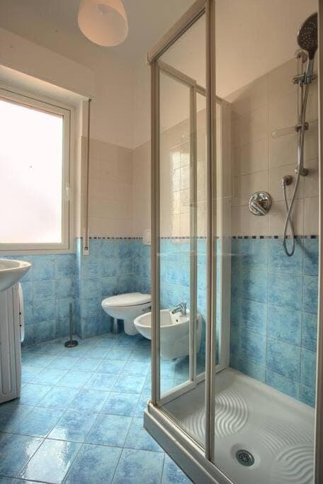 Shower, Toilet, Bathroom, bidet